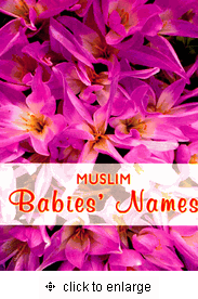 Muslim Babies' Names (Naved Ansari, Iqbal Habib)