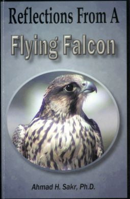 Reflections of a Flying Falcon